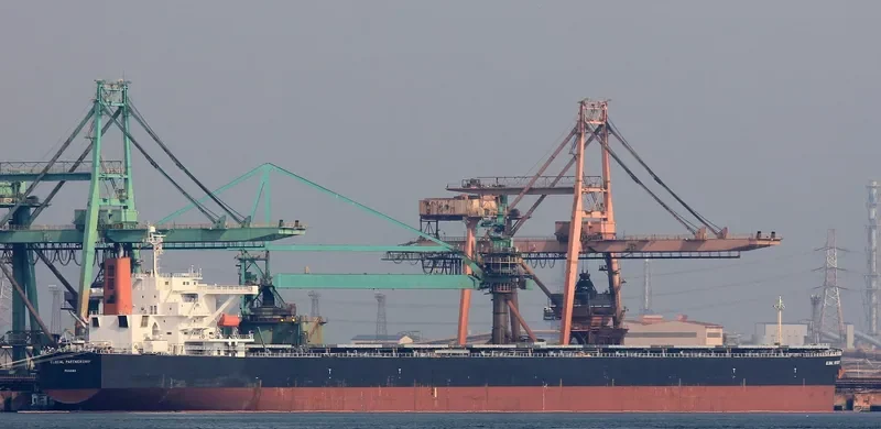 WINNING QUEEN Bulk Carrier IMO 9311282 photo 2