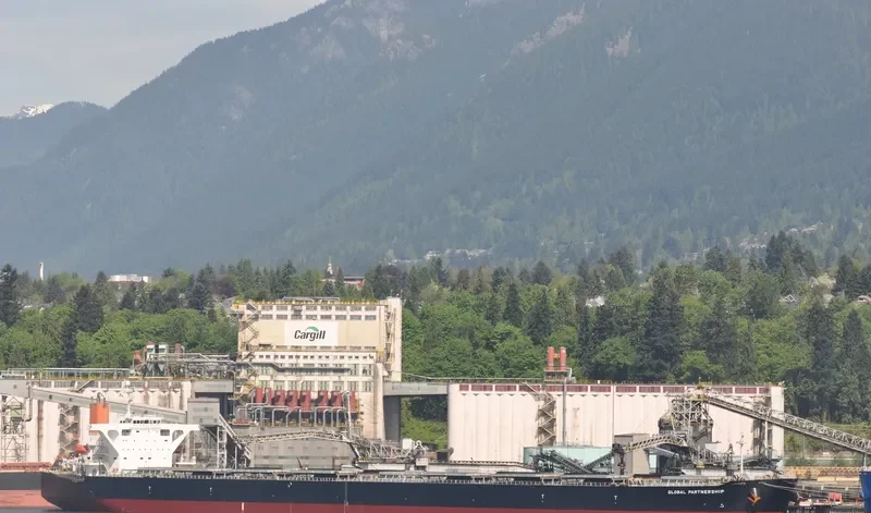 WINNING QUEEN Bulk Carrier IMO 9311282 photo 5