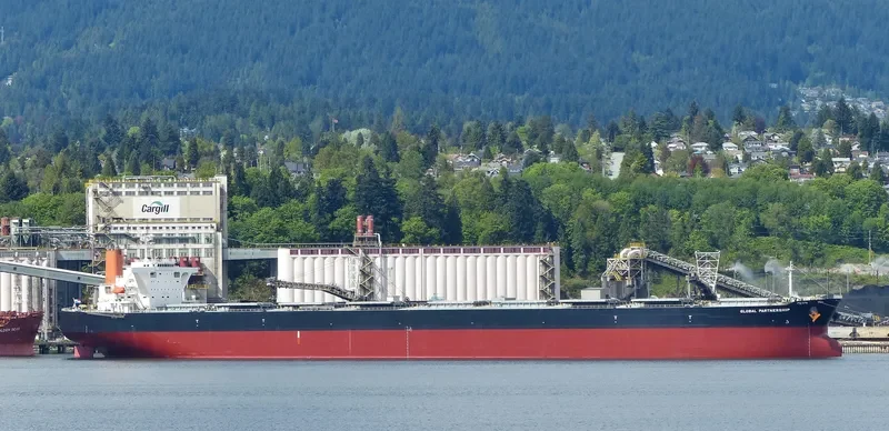 WINNING QUEEN Bulk Carrier IMO 9311282 photo 8