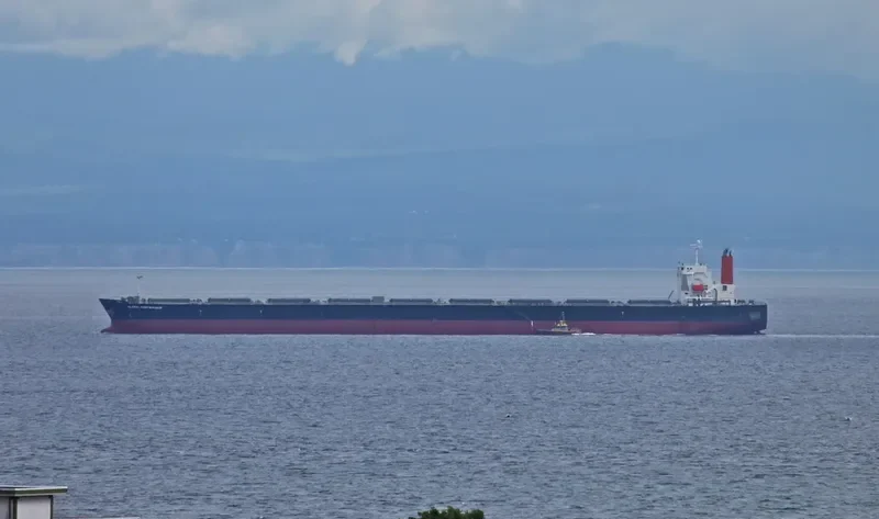 WINNING QUEEN Bulk Carrier IMO 9311282 photo 9