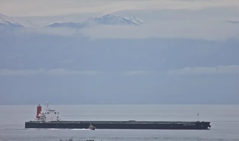 WINNING QUEEN Bulk Carrier IMO 9311282 photo 10