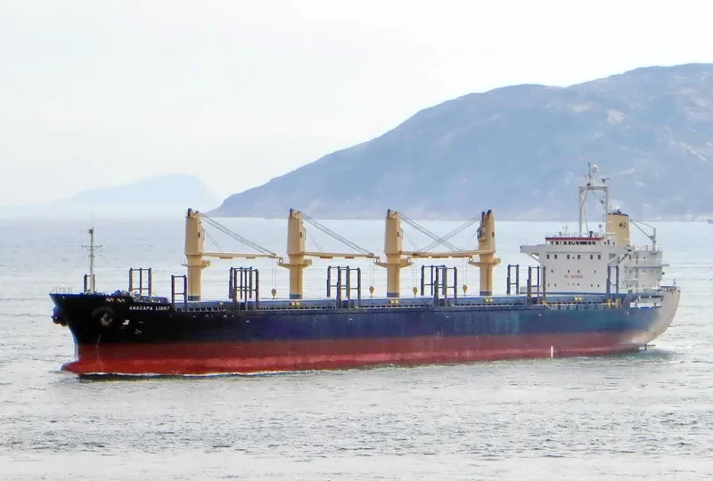 ANACAPA LIGHT Bulk Carrier IMO 9311311 photo 8