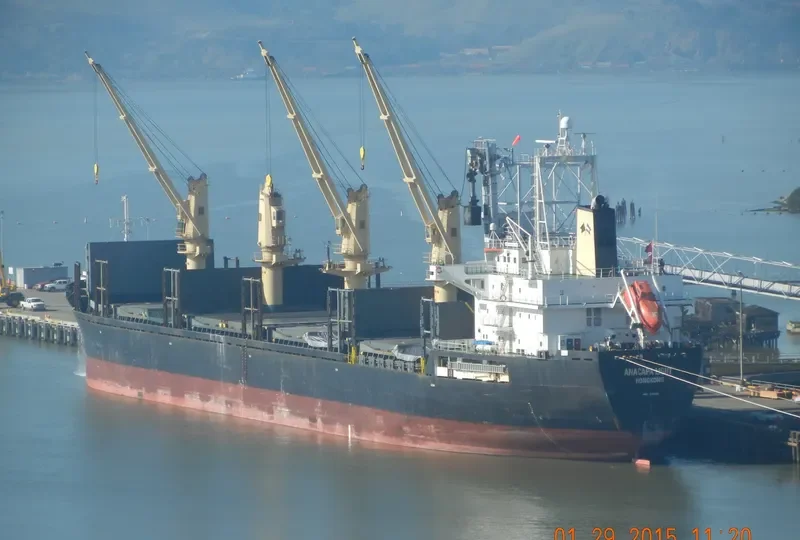 ANACAPA LIGHT Bulk Carrier IMO 9311311 photo 9