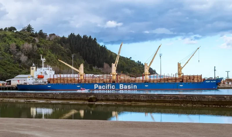 PORT ALICE Bulk Carrier IMO 9311402