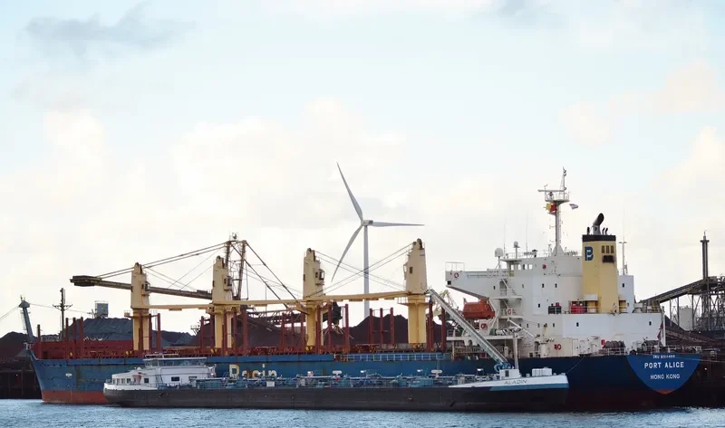 PORT ALICE Bulk Carrier IMO 9311402 photo 5