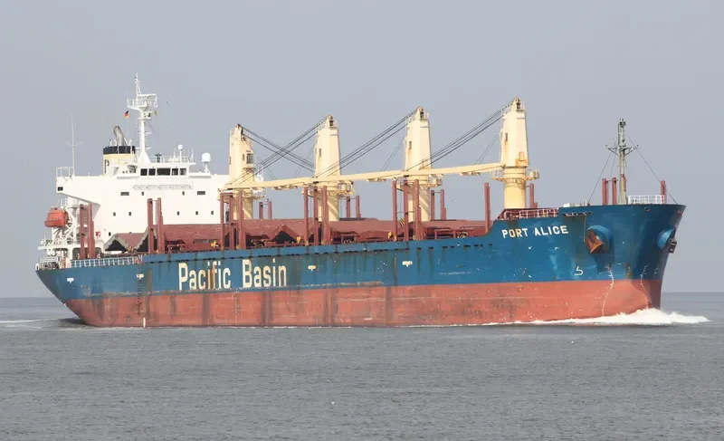 PORT ALICE Bulk Carrier IMO 9311402 photo 6