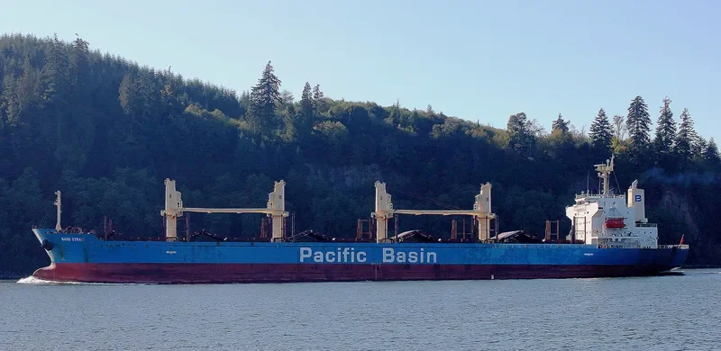 BASS STRAIT Bulk Carrier IMO 9311414 photo 2