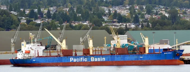 BASS STRAIT Bulk Carrier IMO 9311414 photo 5