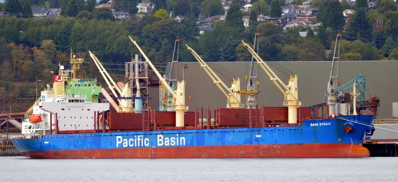 BASS STRAIT Bulk Carrier IMO 9311414 photo 6