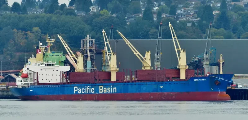 BASS STRAIT Bulk Carrier IMO 9311414 photo 7