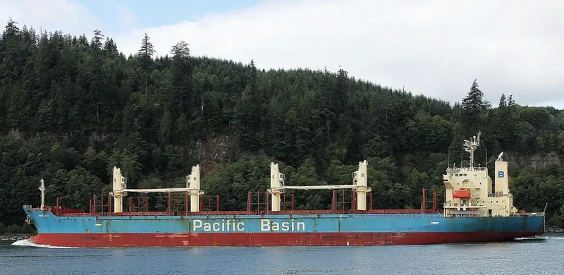 CORIO BAY Bulk Carrier IMO 9311426 photo 2