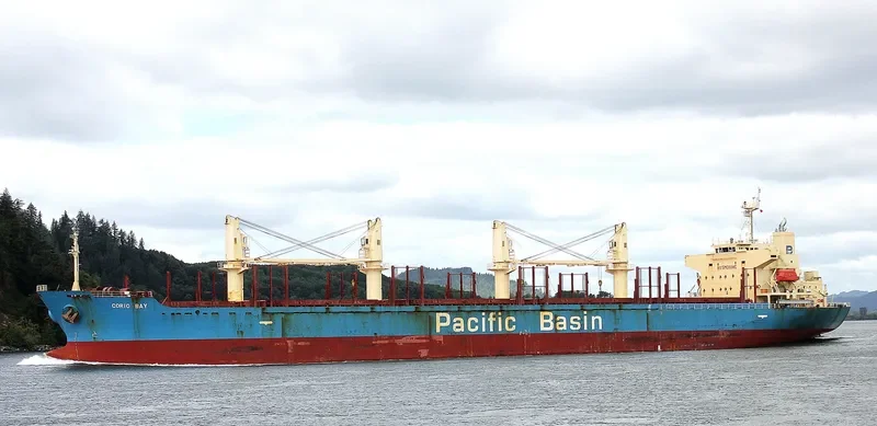 CORIO BAY Bulk Carrier IMO 9311426 photo 3
