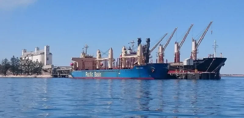 CORIO BAY Bulk Carrier IMO 9311426 photo 5
