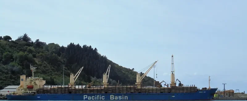 CORIO BAY Bulk Carrier IMO 9311426 photo 7
