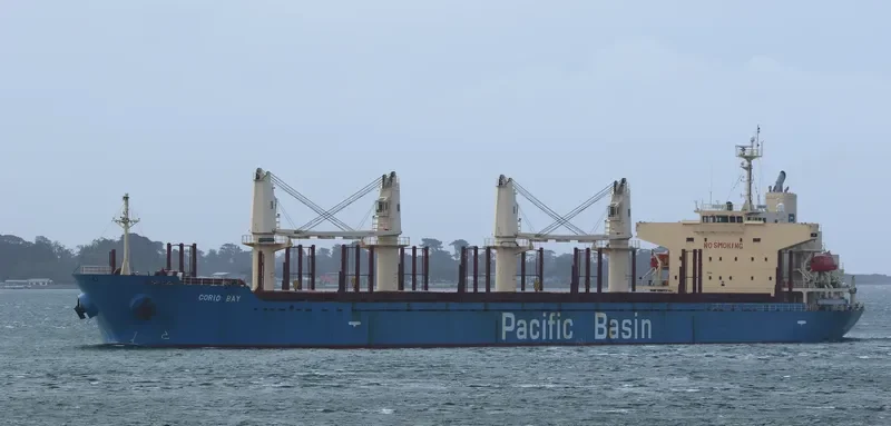 CORIO BAY Bulk Carrier IMO 9311426 photo 8