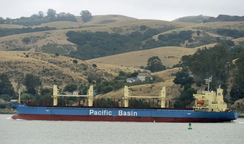 CORIO BAY Bulk Carrier IMO 9311426 photo 10
