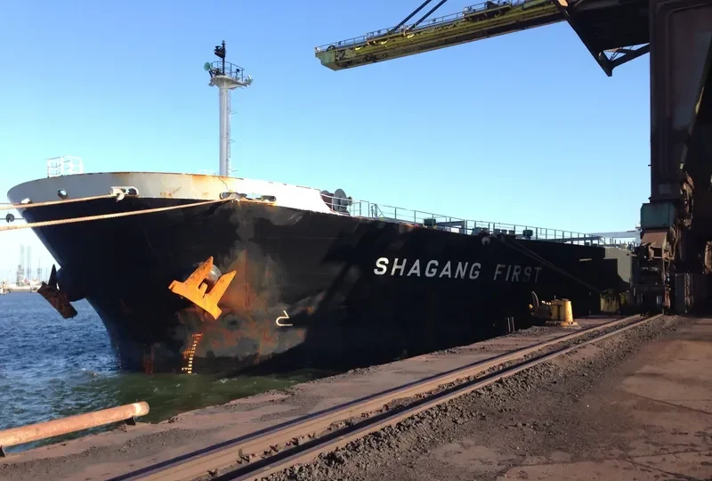 MOUNT SINAI Bulk Carrier IMO 9311440