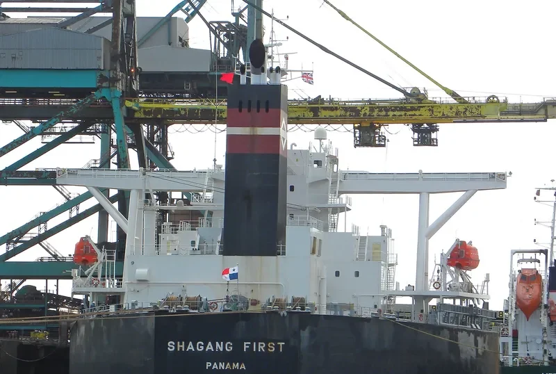MOUNT SINAI Bulk Carrier IMO 9311440 photo 2