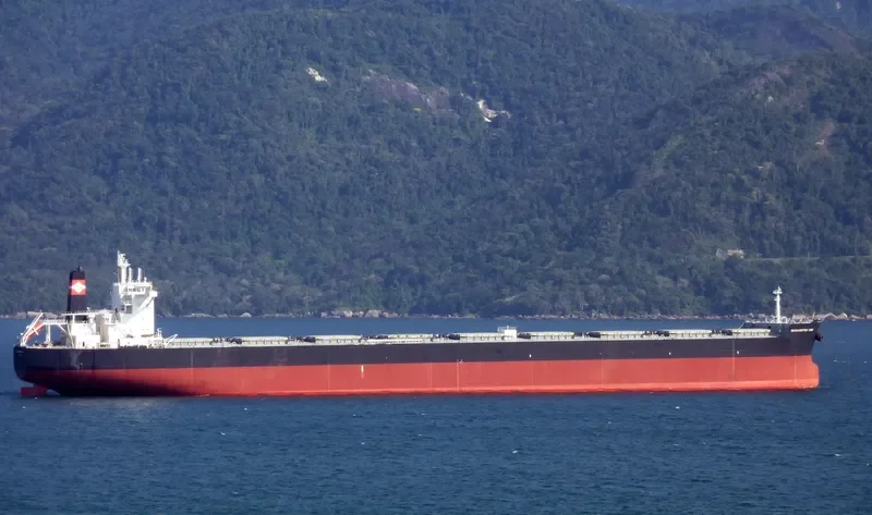 MOUNT SINAI Bulk Carrier IMO 9311440 photo 3