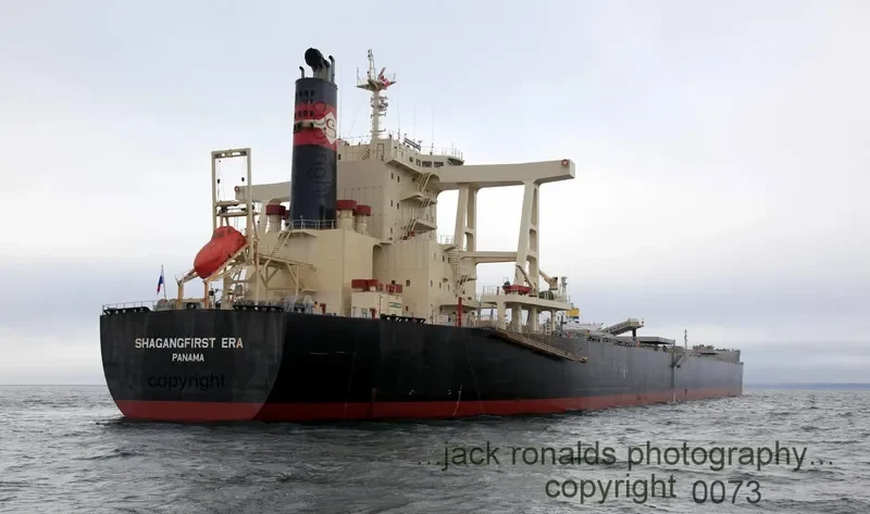 MOUNT SINAI Bulk Carrier IMO 9311440 photo 4