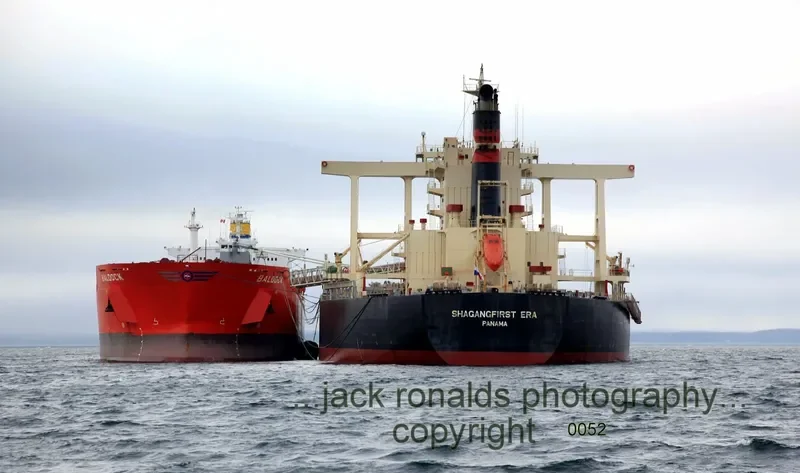 MOUNT SINAI Bulk Carrier IMO 9311440 photo 5