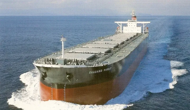 MOUNT SINAI Bulk Carrier IMO 9311440 photo 6