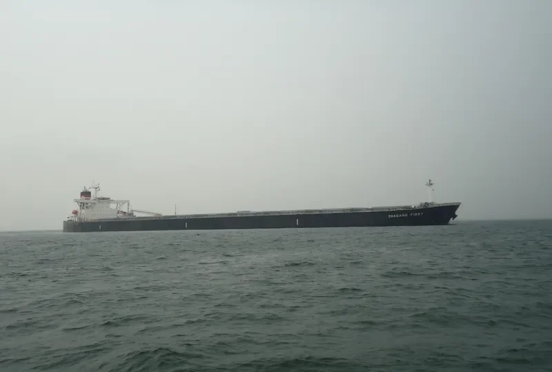 MOUNT SINAI Bulk Carrier IMO 9311440 photo 7