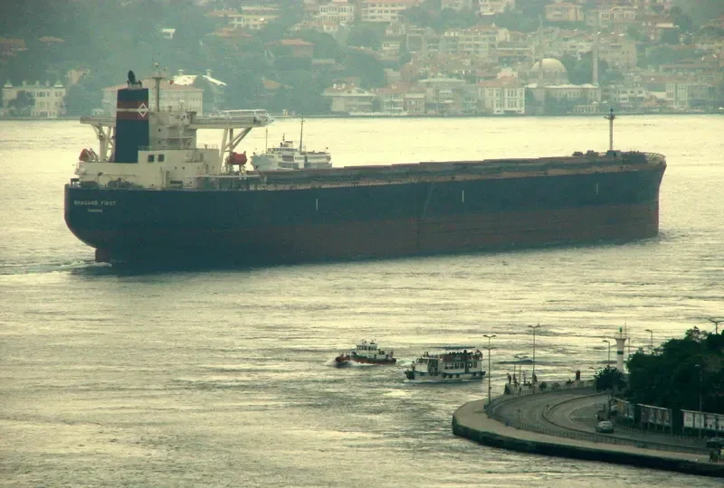 MOUNT SINAI Bulk Carrier IMO 9311440 photo 8