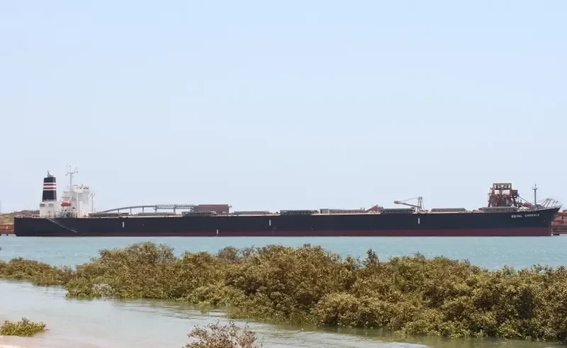THE MOTHERSHIP Bulk Carrier IMO 9311464