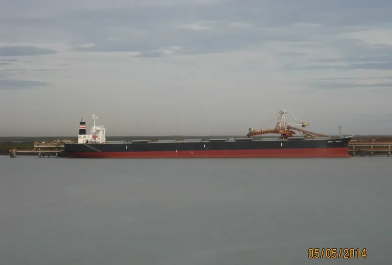 THE MOTHERSHIP Bulk Carrier IMO 9311464 photo 2