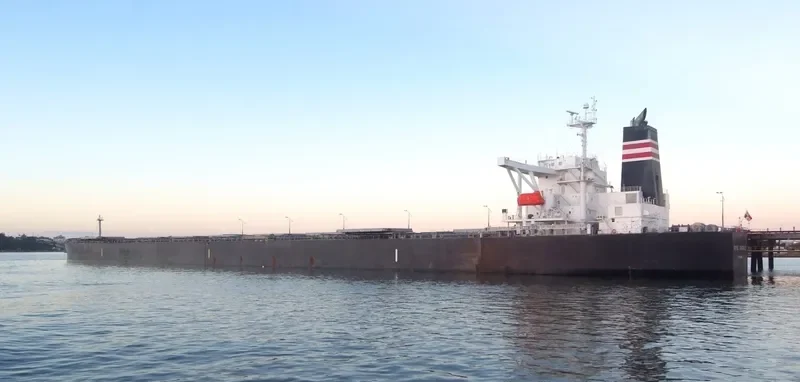 THE MOTHERSHIP Bulk Carrier IMO 9311464 photo 3