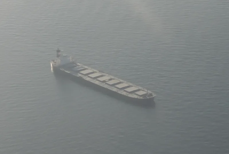 THE MOTHERSHIP Bulk Carrier IMO 9311464 photo 4