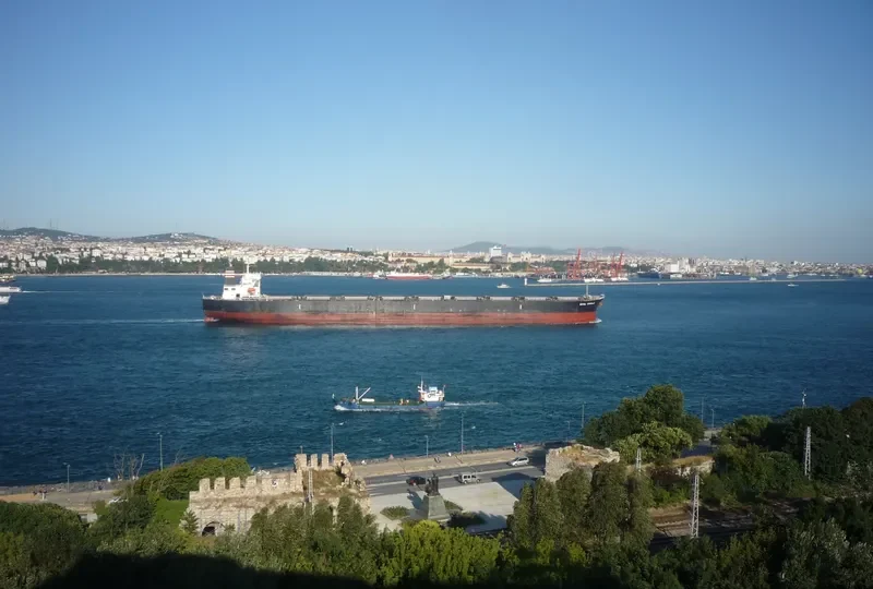 THE MOTHERSHIP Bulk Carrier IMO 9311464 photo 5