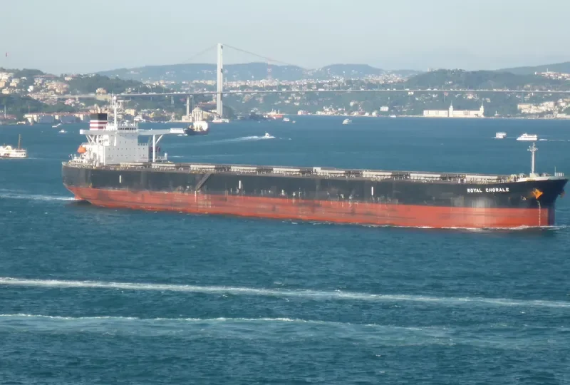 THE MOTHERSHIP Bulk Carrier IMO 9311464 photo 6