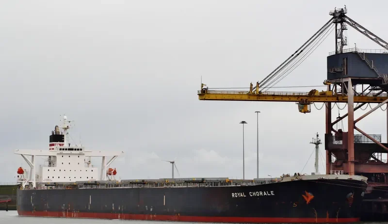 THE MOTHERSHIP Bulk Carrier IMO 9311464 photo 7