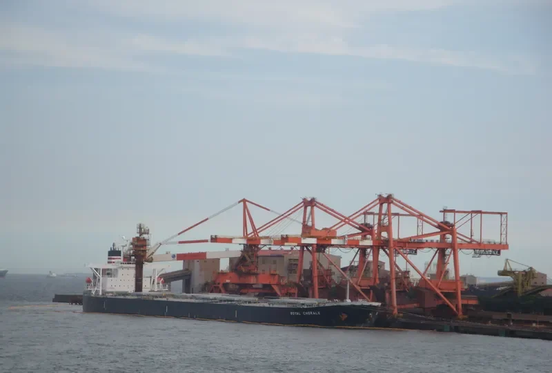 THE MOTHERSHIP Bulk Carrier IMO 9311464 photo 8
