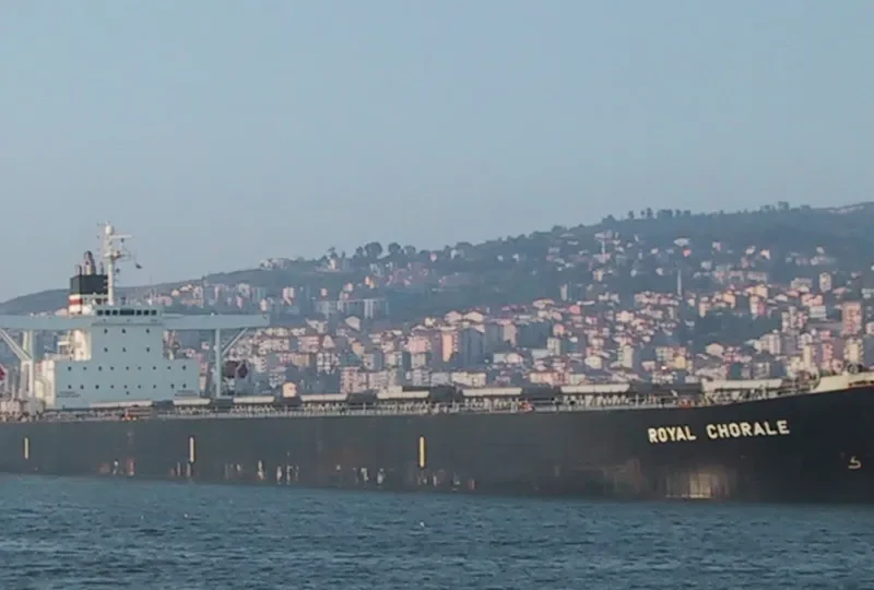 THE MOTHERSHIP Bulk Carrier IMO 9311464 photo 10