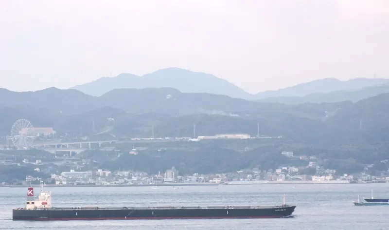GOODSHIP Bulk Carrier IMO 9311476 photo 4