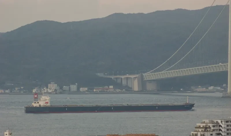GOODSHIP Bulk Carrier IMO 9311476 photo 5