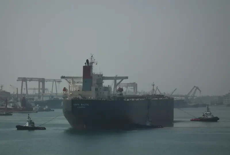 GOODSHIP Bulk Carrier IMO 9311476 photo 7