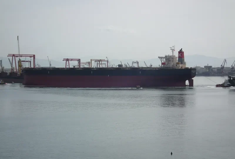 GOODSHIP Bulk Carrier IMO 9311476 photo 8