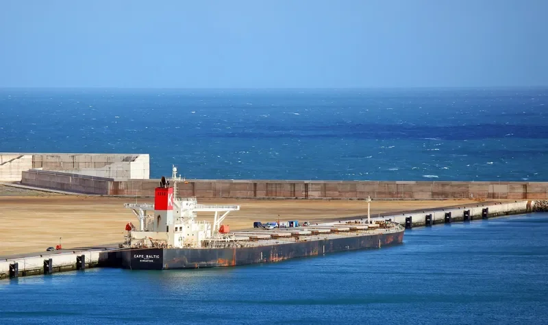 GOODSHIP Bulk Carrier IMO 9311476 photo 10