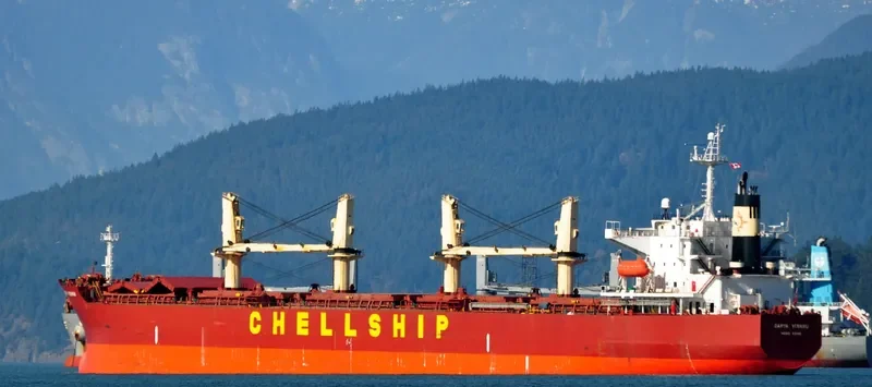 SIDER TIS Bulk Carrier IMO 9311490 photo 6