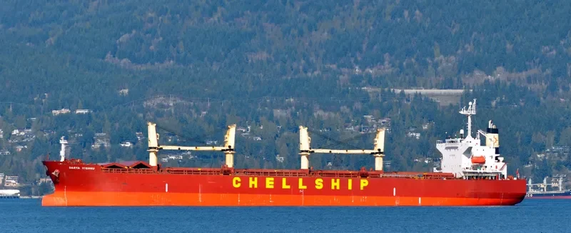 SIDER TIS Bulk Carrier IMO 9311490 photo 7