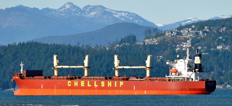 SIDER TIS Bulk Carrier IMO 9311490 photo 8