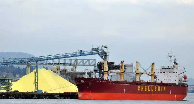 SIDER TIS Bulk Carrier IMO 9311490 photo 9