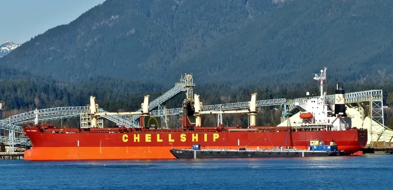 SIDER TIS Bulk Carrier IMO 9311490 photo 10