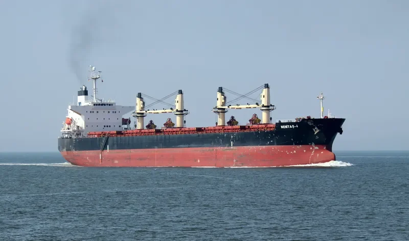 SSI NEMESIS Bulk Carrier IMO 9311529