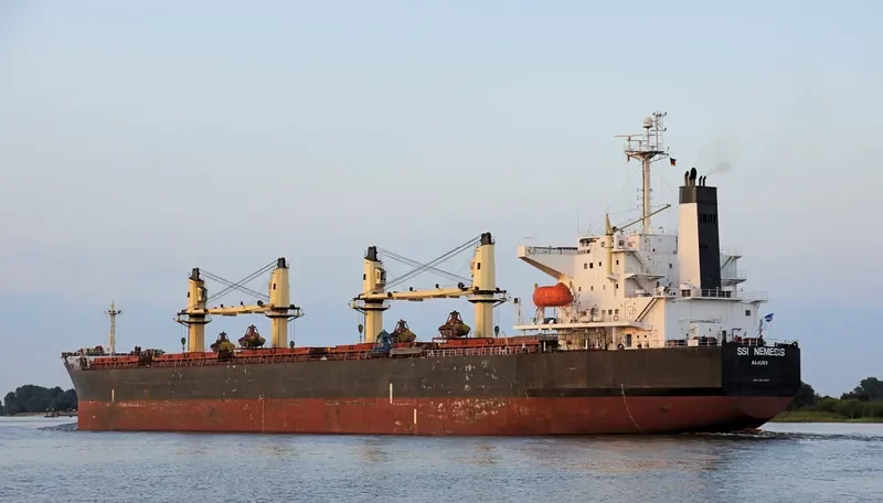 SSI NEMESIS Bulk Carrier IMO 9311529 photo 4