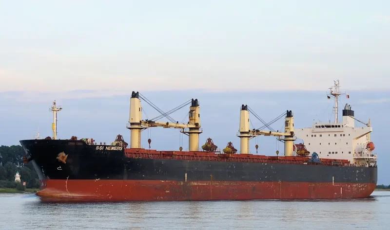 SSI NEMESIS Bulk Carrier IMO 9311529 photo 5